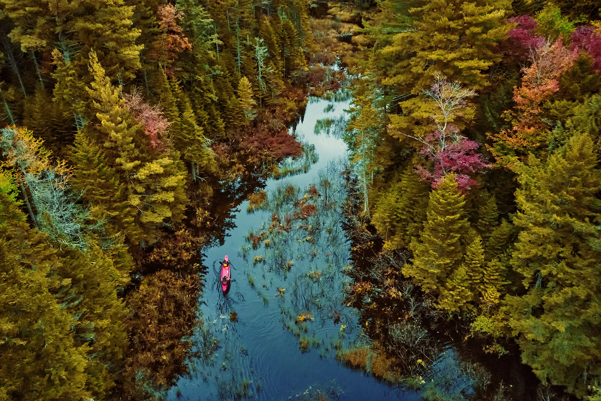 Filson 2021 - photo 3