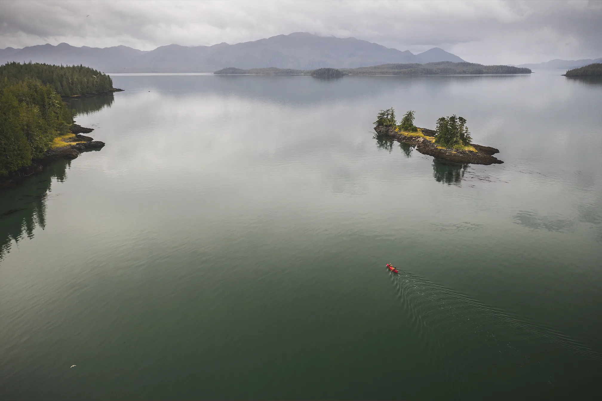 Skeena River and the Inside Passage 2021