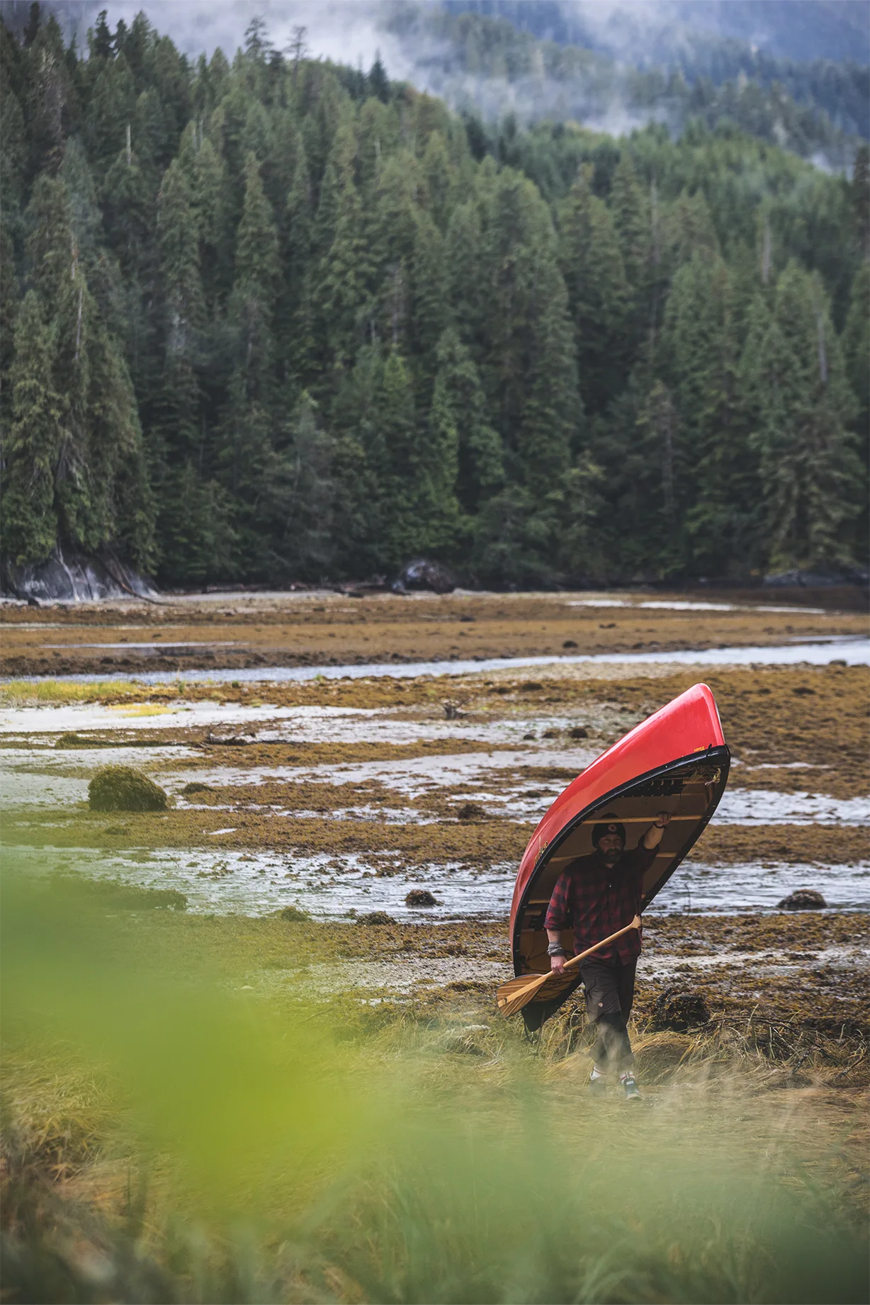 Skeena River and the Inside Passage 2021 - photo 10